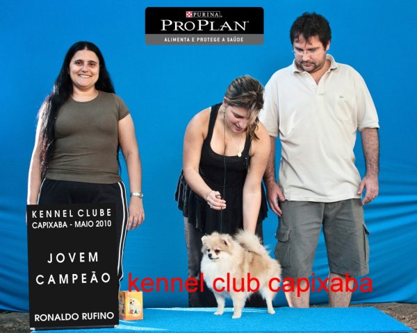 Clique sobre a foto para fechar